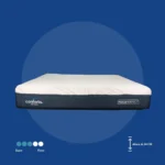 colchon firmeza media